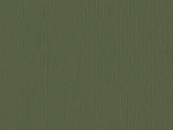 CIB8557 OLIVE GREEN
