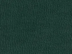 NAS1259 DARK GREEN