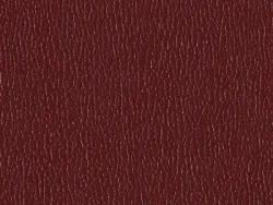 SXS5250 MAROON
