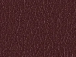 SXS5296 MAROON
