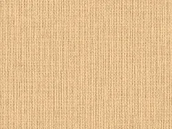 NAC8015 BEIGE