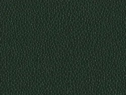 PEM9207 GREEN
