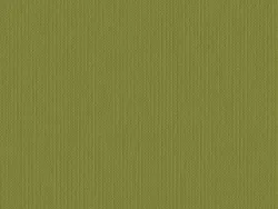 WBB572 OLIVE
